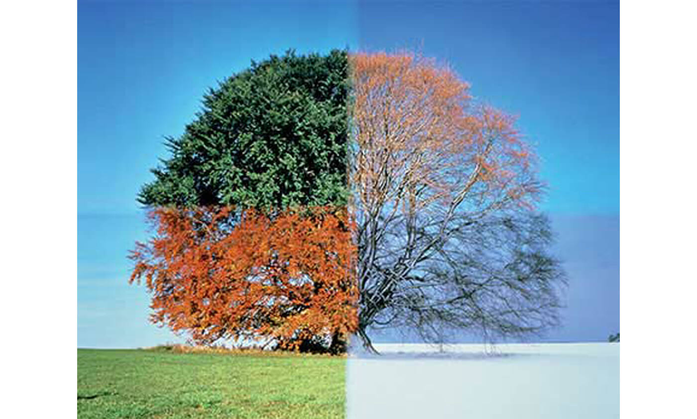 06_INTORARI_2