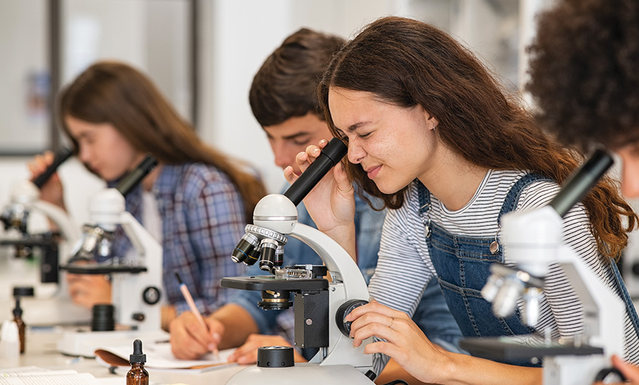 Gli studenti usano il microscopio in classe, concentrandosi sui loro esperimenti e prendendo appunti.