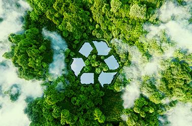 Etichettatura ambientale per smaltimento